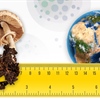 A mushroom presented as the same size as the Earth, with a ruler running lengthwise beneath.