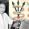 Dr. Wu and the left-handed universe