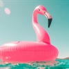 An inflatable pink flamingo floating on the water on a sunny day.