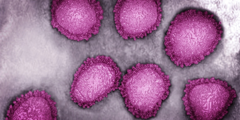 Coronavirus: Keep Calm and Carry On Claim Testing