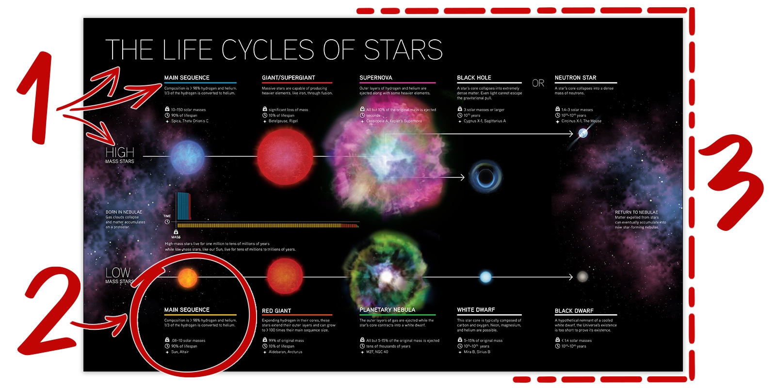 infographic of the life cycles of stars activit