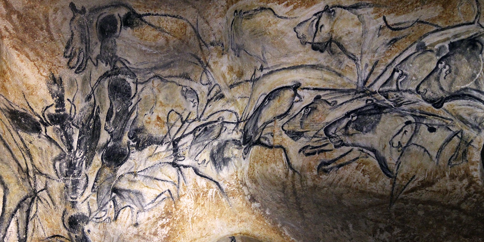 Cave art found at the Chauvet Cave in France. These drawings are more than 30,000 years old.