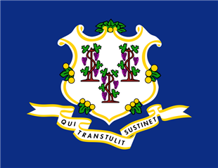 State flag of Connecticut.