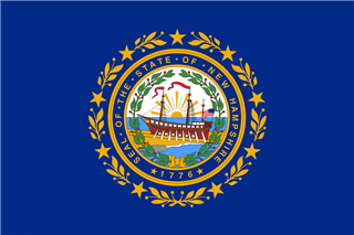 State flag of New Hampshire.