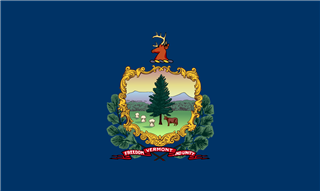 State flag of Vermont.