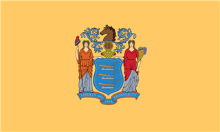 State flag of New Jersey.