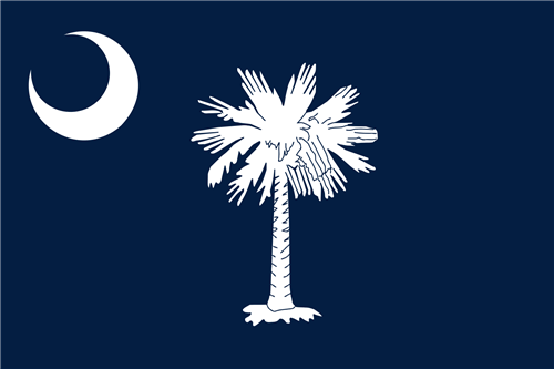 state flag of south carolina