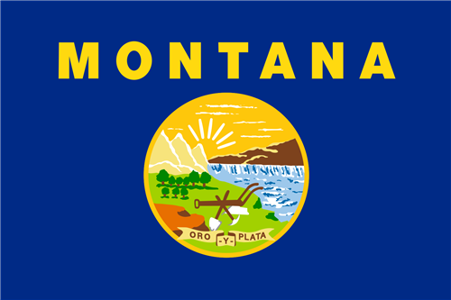 state flag of montana